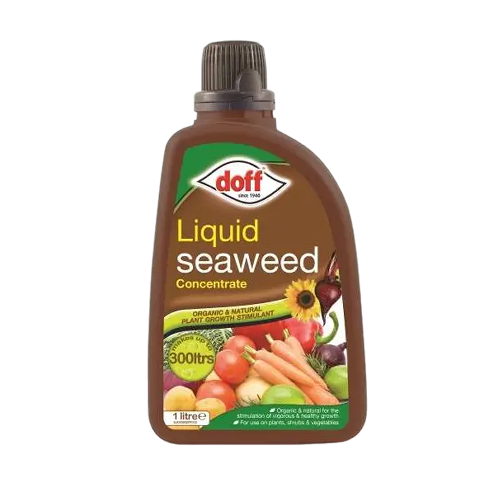 Doff Liquid Seaweed Plant Food Concentrate 1L bottle