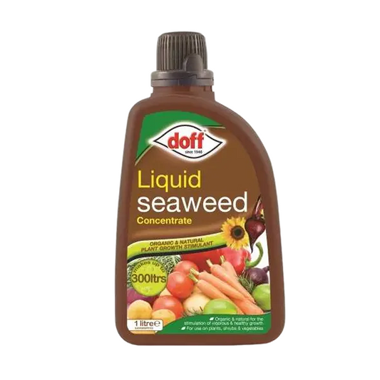 Doff Liquid Seaweed Plant Food Concentrate 1L bottle