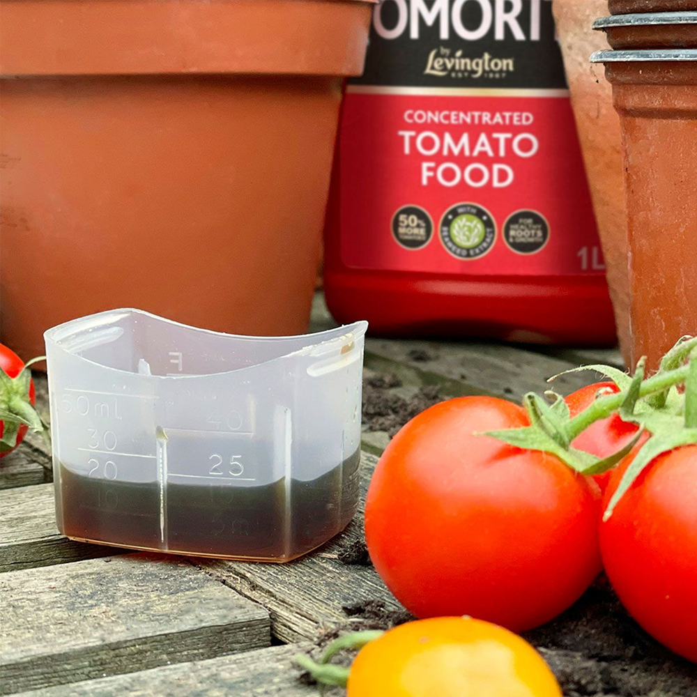 Levington Tomorite Tomato Food 1L (+20% Extra Free)