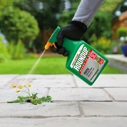 Roundup Ready to Use Path Weedkiller 1L (20% Extra Free)