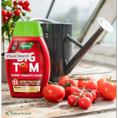 Westland Big Tom Super Tomato Food 1L