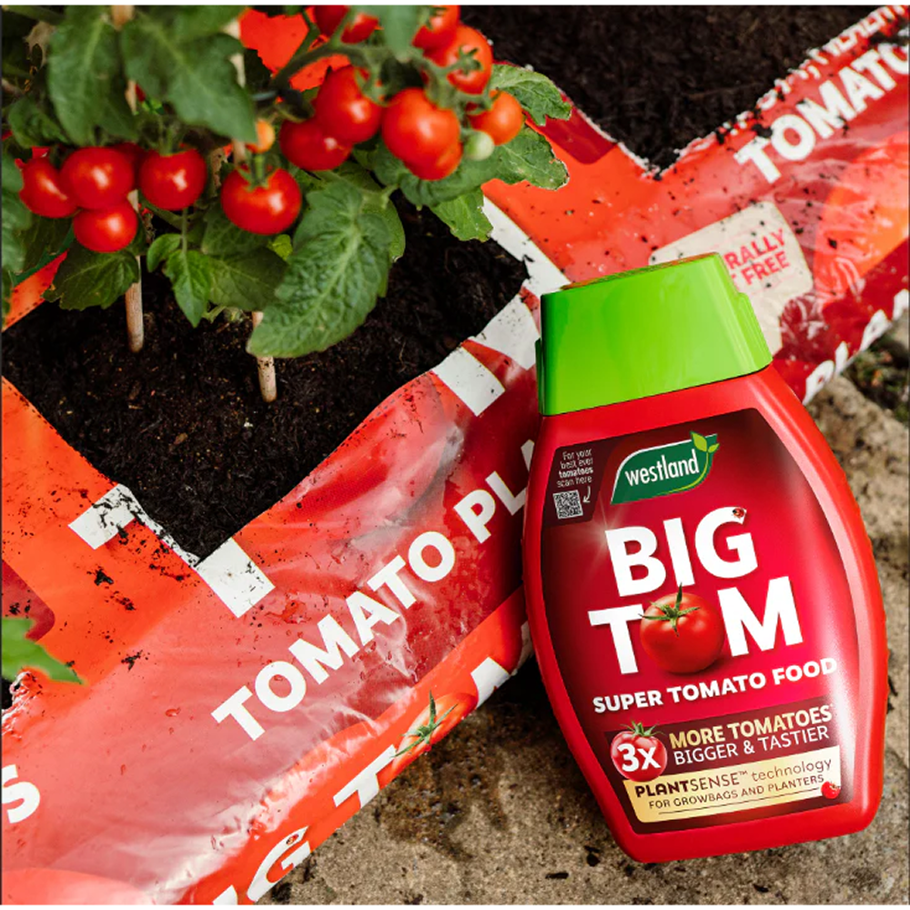 Westland Big Tom Super Tomato Food 1L