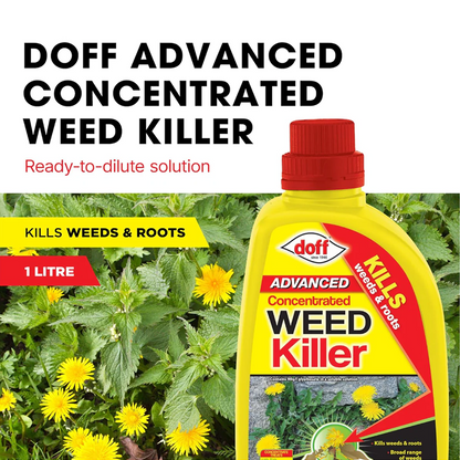 Doff - Glyphosate Weedkiller Concentrate - 1 Litre
